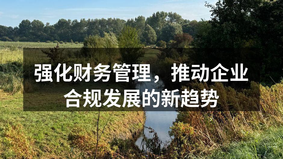 强化财务管理，推动企业合规发展的新趋势